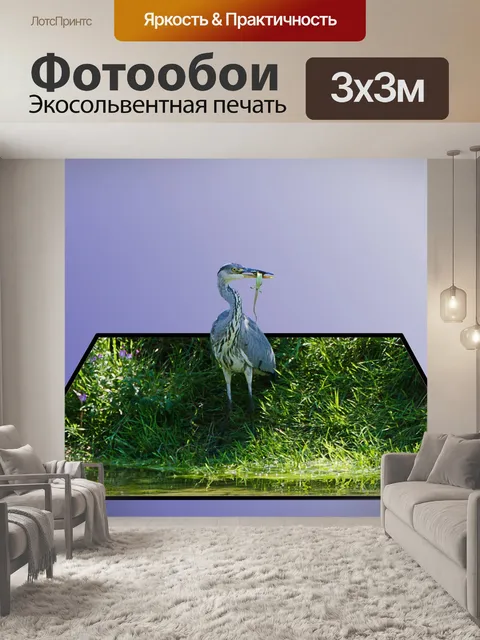 Фотообои Трава
