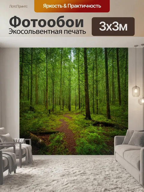 Фотообои лес со спокойной атмосферой, создающей чувства уединения и благополучия