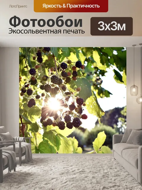 Фотообои Солнце