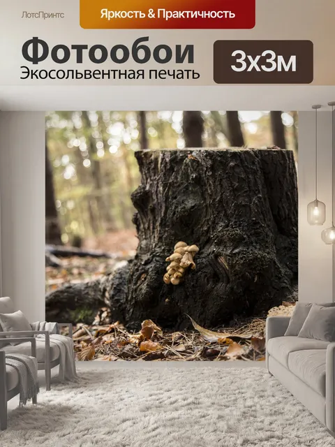 Фотообои Пень