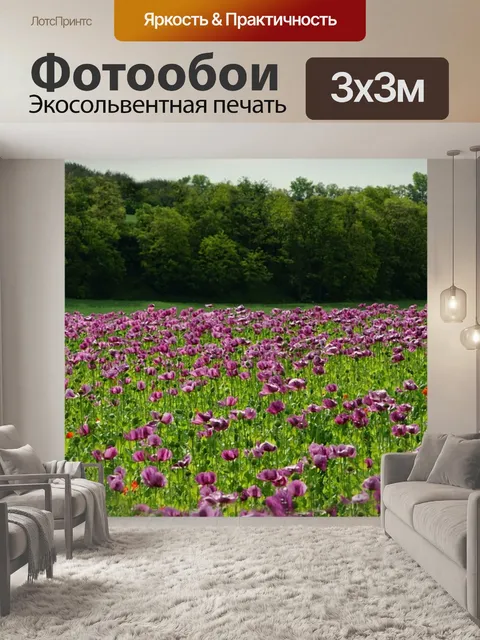 Фотообои Панорама