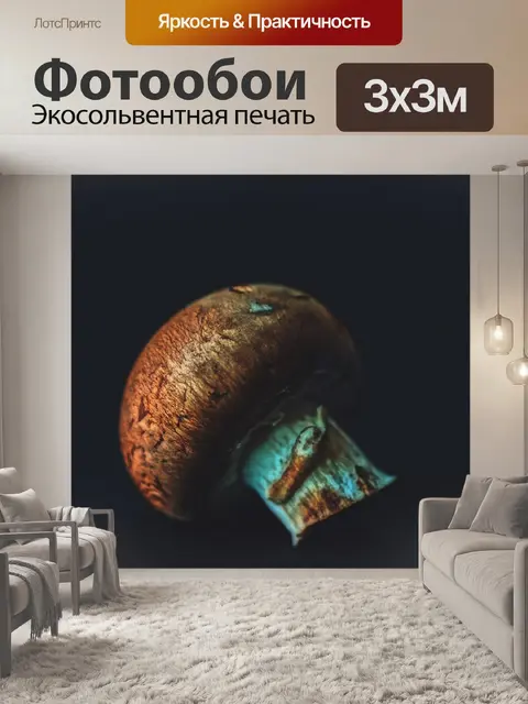 Фотообои Крупным планом
