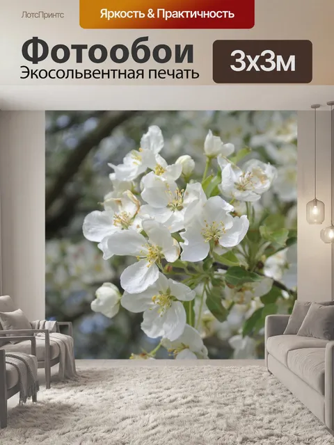 Фотообои Весенние белые цветы