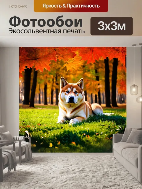 Фотообои в центре изображения расположена величественная собака породы акита-ину