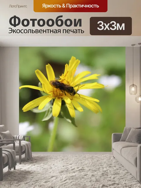 Фотообои Одуванчик