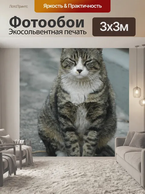 Фотообои Кошка