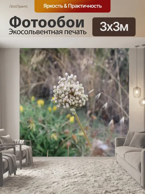 Фотообои Растительность