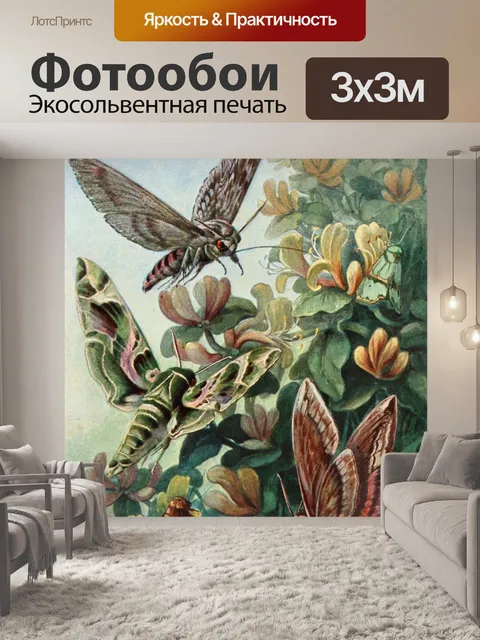 Фотообои Бабочки мотылек арт винтаж