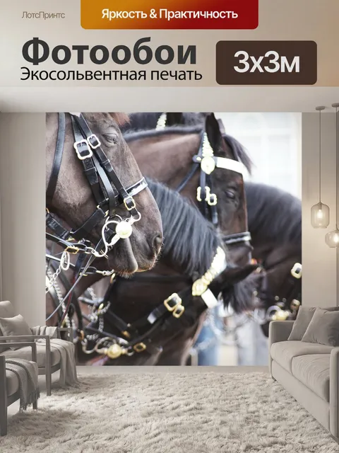 Фотообои Лошади