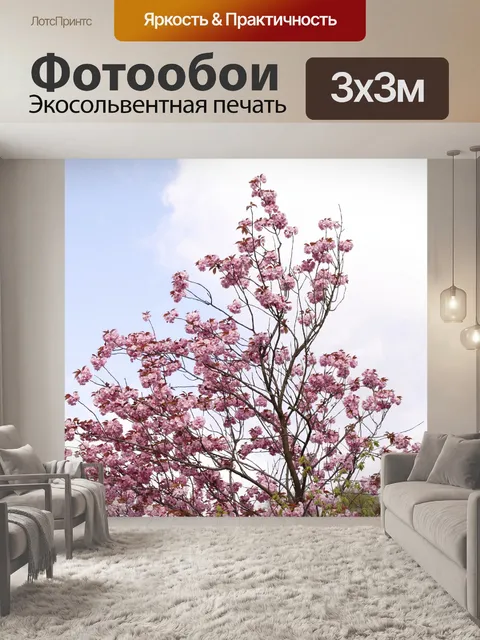 Фотообои Фон