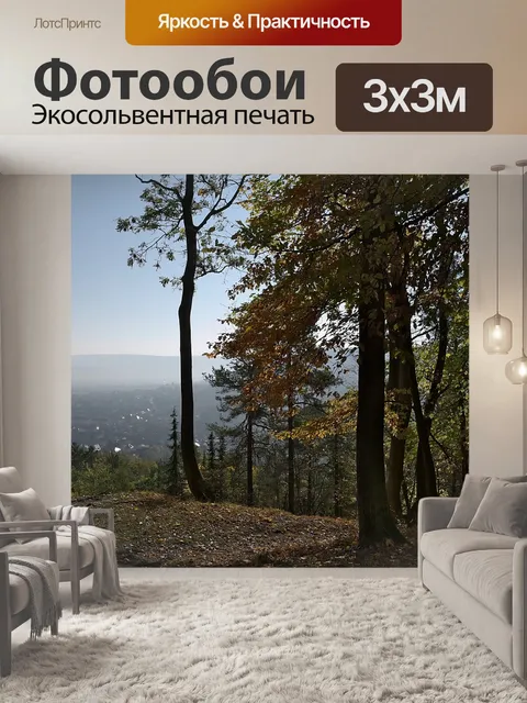 Фотообои Лес