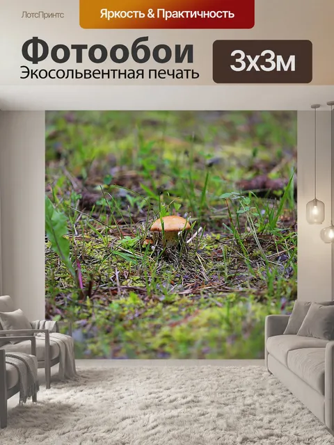 Фотообои Гриб