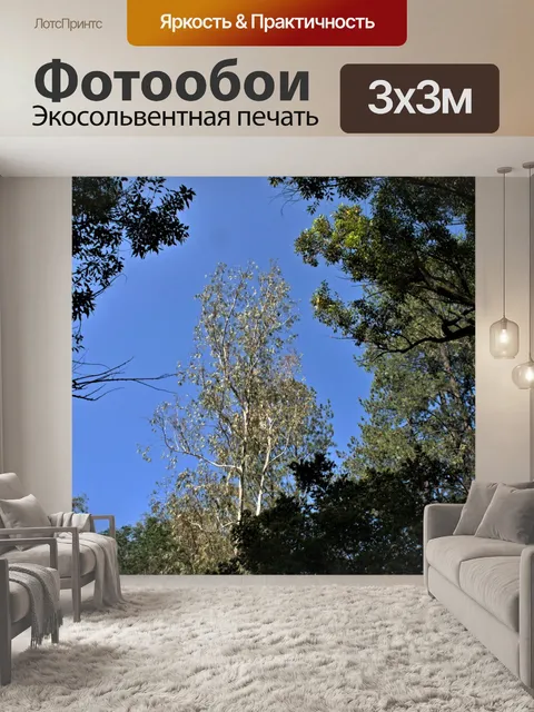 Фотообои вершины деревьев и голубое небо