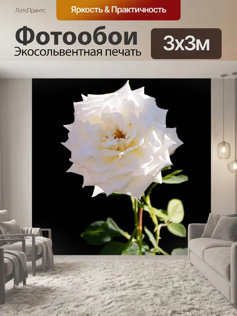 Фотообои Цветы, розы, бутоны, сад