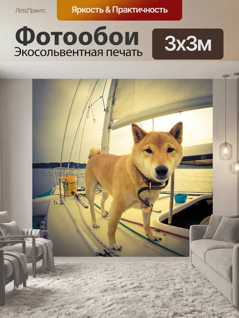 Фотообои Собака