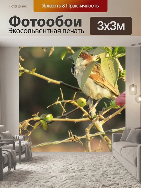 Фотообои Гнездования птиц