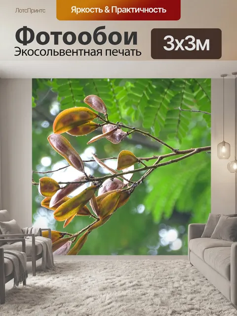 Фотообои Природа