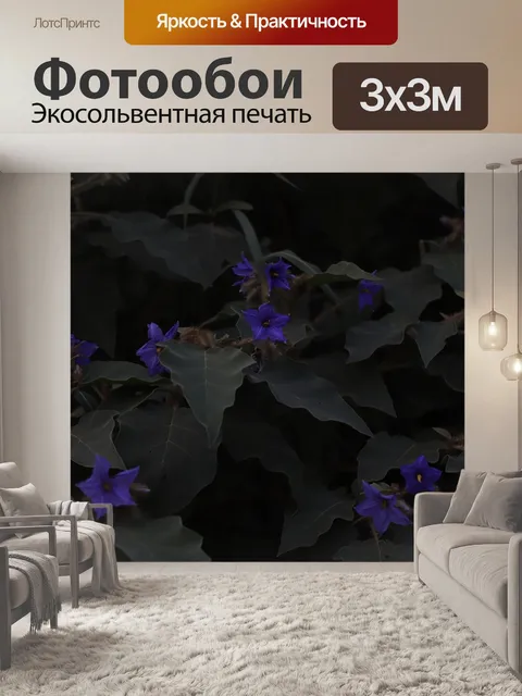 Фотообои Листья