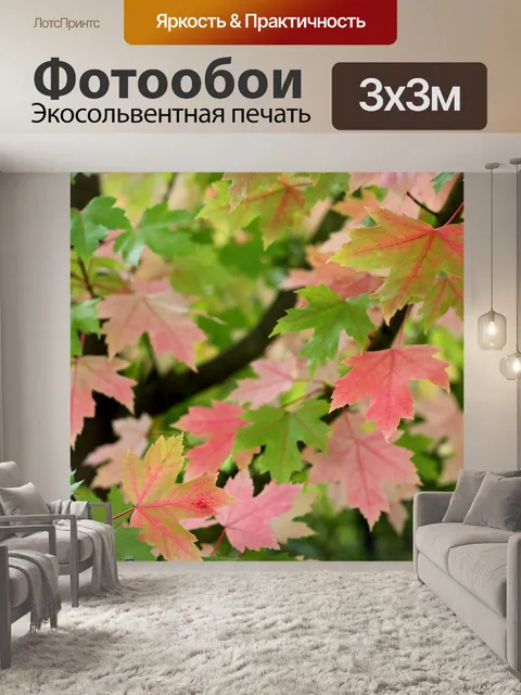 Фотообои Acer
