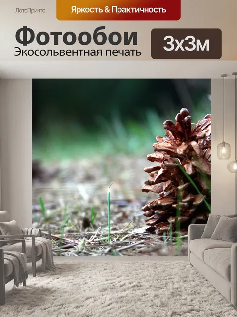 Фотообои Шишка