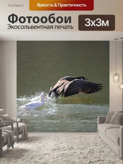 Фотообои Полет