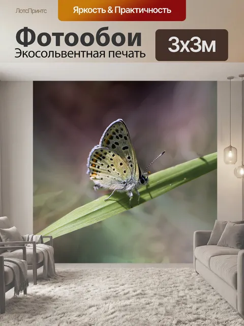 Фотообои Бабочка