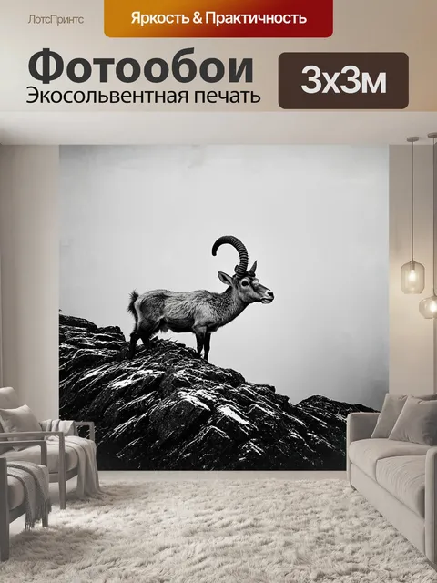 Фотообои на вершине скалистой горы