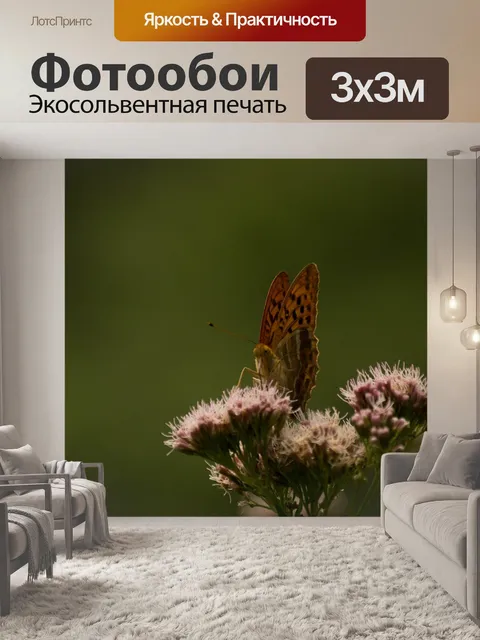 Фотообои Бабочка