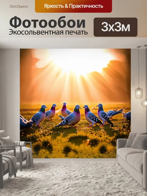 Фотообои группа голубей пирует на полянке в ярком свете раннего утра