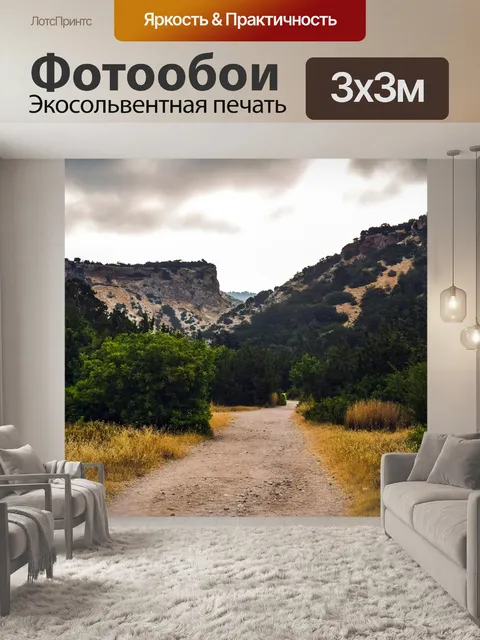 Фотообои Дорога