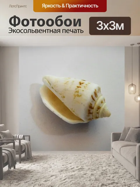 Фотообои Shell на белом фоне
