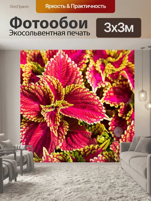 Фотообои Листья