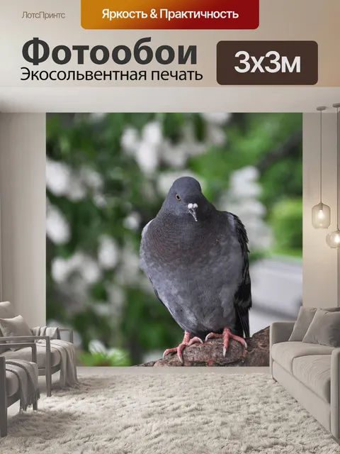 Фотообои Птицы