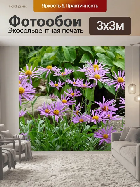 Фотообои Маргаритка