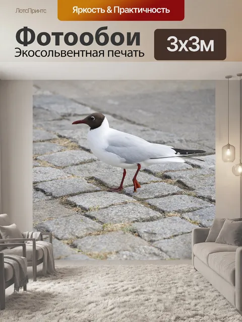 Фотообои Птица