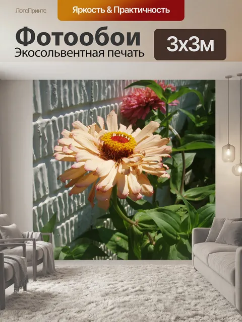 Фотообои Цинния против кирпичные стены
