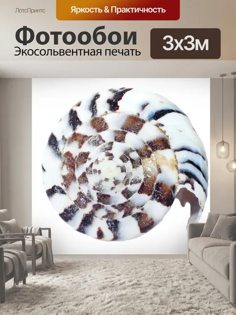 Фотообои Спиральная морская раковина