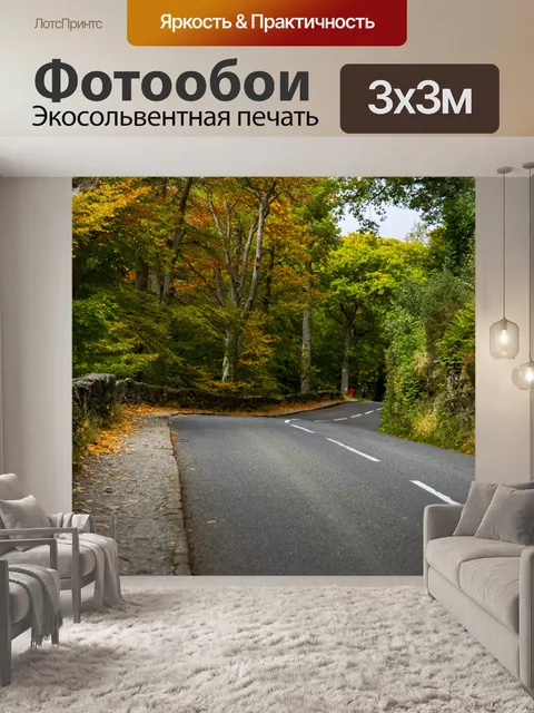 Фотообои Осенний лес Чистый Дорога