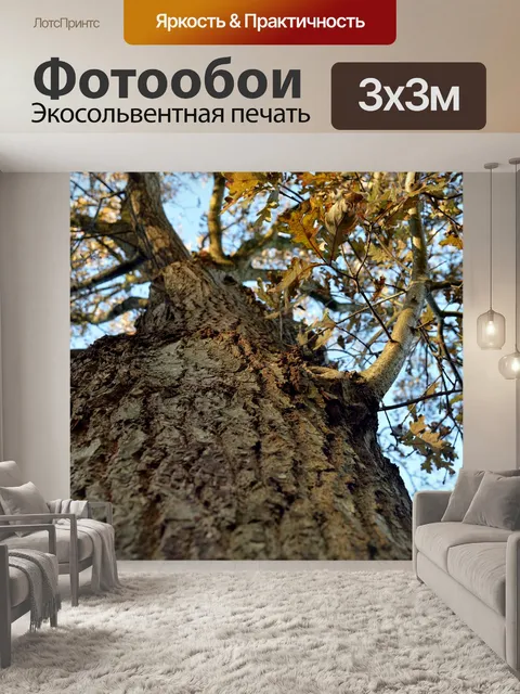 Фотообои Дерево