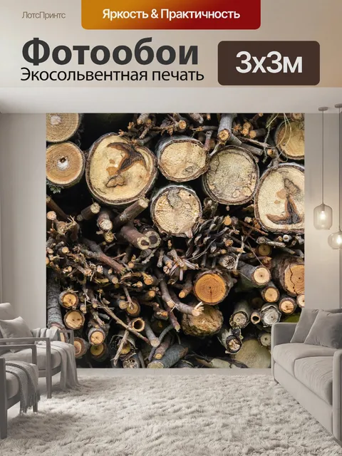 Фотообои крупный план насекомых