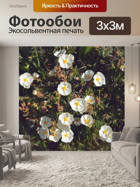 Фотообои Цветы