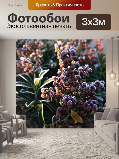 Фотообои Цветы