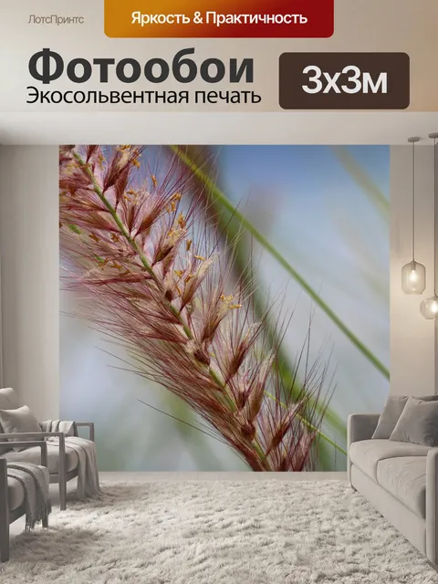 Фотообои Водоросли