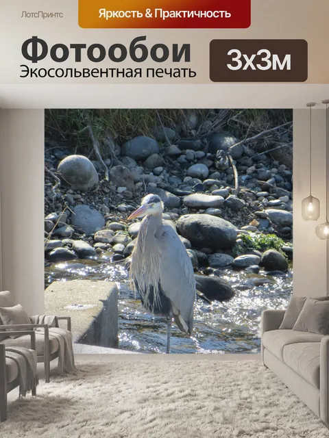 Фотообои Heron 1160