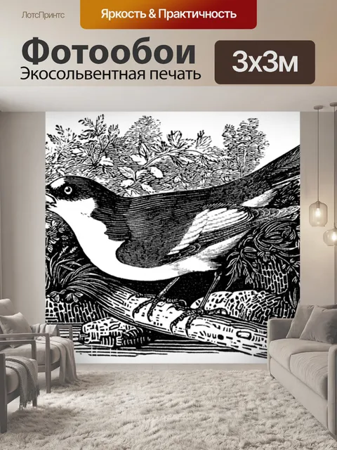 Фотообои Мухоловка-пеструшка