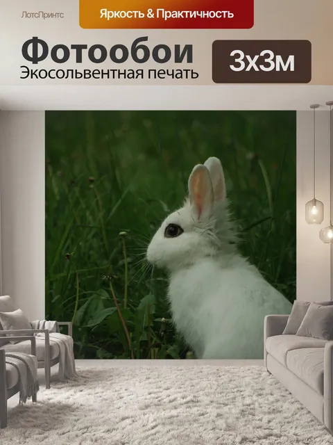 Фотообои Кролик