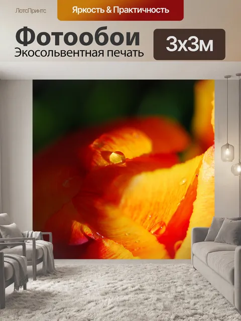 Фотообои Цветок