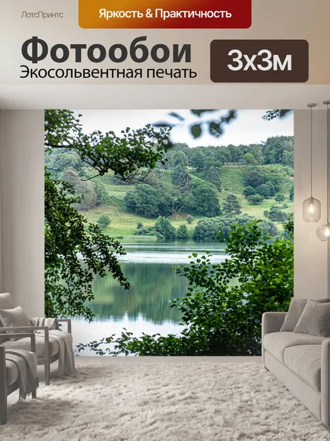 Фотообои Лес
