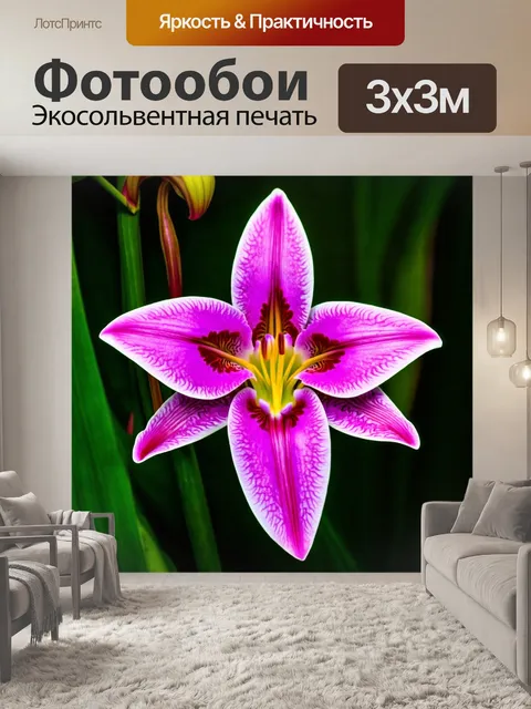 Фотообои цветы в стиле арт-нуво, акцент на редкие виды цветов, такие как орхидеи и лилии