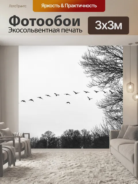 Фотообои Стадо